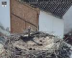 Capi_Dubne_20250827_164503.jpg