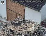 Capi_Dubne_20250827_172002.jpg