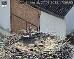 Capi_Dubne_20250827_175003.jpg