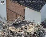 Capi_Dubne_20250827_175502.jpg