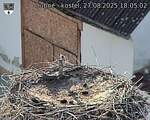 Capi_Dubne_20250827_180502.jpg