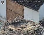 Capi_Dubne_20250827_181003.jpg