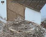 Capi_Dubne_20250827_192002.jpg
