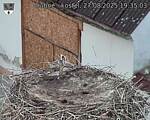 Capi_Dubne_20250827_193503.jpg