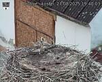 Capi_Dubne_20250827_194003.jpg