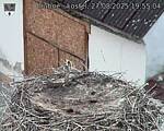 Capi_Dubne_20250827_195504.jpg