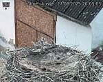 Capi_Dubne_20250827_200503.jpg