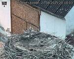 Capi_Dubne_20250827_201003.jpg