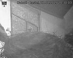 Capi_Dubne_20250827_203003.jpg