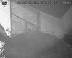 Capi_Dubne_20250827_204003.jpg