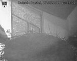 Capi_Dubne_20250827_204502.jpg
