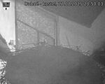 Capi_Dubne_20250827_205003.jpg