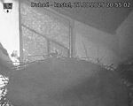 Capi_Dubne_20250827_205502.jpg