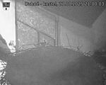 Capi_Dubne_20250827_210003.jpg