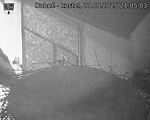 Capi_Dubne_20250827_210503.jpg