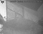 Capi_Dubne_20250828_020002.jpg