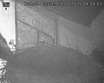 Capi_Dubne_20250828_045003.jpg