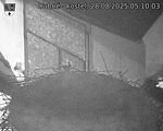 Capi_Dubne_20250828_051003.jpg