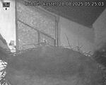 Capi_Dubne_20250828_052503.jpg