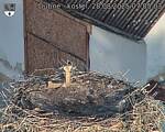 Capi_Dubne_20250828_070503.jpg