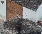 Capi_Dubne_20250828_085503.jpg