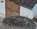 Capi_Dubne_20250828_094003.jpg