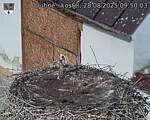 Capi_Dubne_20250828_095003.jpg