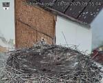 Capi_Dubne_20250828_095504.jpg