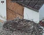 Capi_Dubne_20250828_100503.jpg