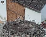 Capi_Dubne_20250828_101503.jpg