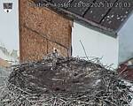 Capi_Dubne_20250828_102003.jpg