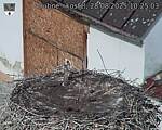 Capi_Dubne_20250828_102503.jpg
