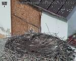 Capi_Dubne_20250828_105502.jpg