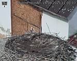 Capi_Dubne_20250828_110003.jpg