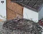 Capi_Dubne_20250828_110503.jpg