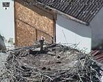 Capi_Dubne_20250828_144503.jpg