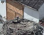 Capi_Dubne_20250828_152504.jpg