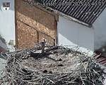 Capi_Dubne_20250828_154003.jpg