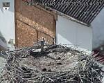 Capi_Dubne_20250828_154503.jpg
