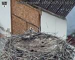 Capi_Dubne_20250828_155002.jpg