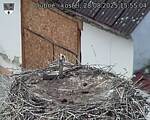 Capi_Dubne_20250828_155504.jpg