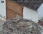 Capi_Dubne_20250828_160502.jpg