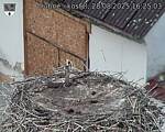 Capi_Dubne_20250828_162503.jpg