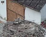 Capi_Dubne_20250828_163002.jpg