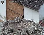Capi_Dubne_20250828_163504.jpg