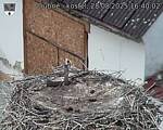 Capi_Dubne_20250828_164002.jpg