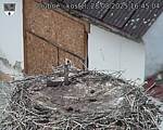 Capi_Dubne_20250828_164504.jpg