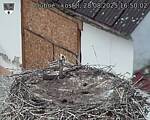 Capi_Dubne_20250828_165002.jpg