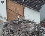 Capi_Dubne_20250828_171004.jpg