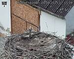 Capi_Dubne_20250828_171504.jpg